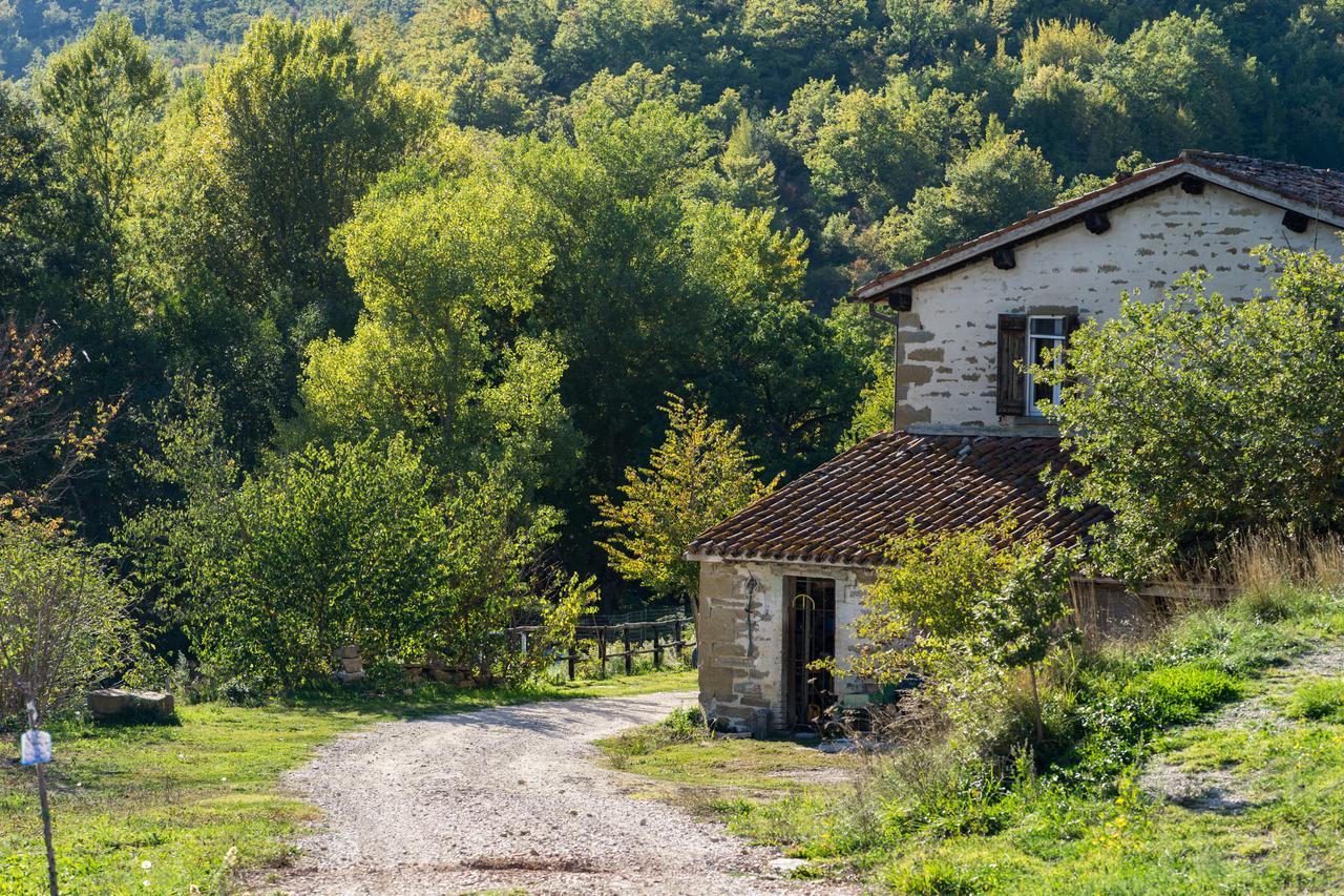 Готель Agriturismo L'Oca Blu Губбіо Екстер'єр фото